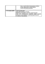 Prakses atskaite 'Praktiskais darbs personāla vadībā par uzņēmumu SIA "Lāči"', 20.