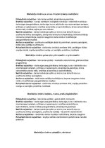 Prakses atskaite 'Praktiskais darbs personāla vadībā par uzņēmumu SIA "Lāči"', 31.