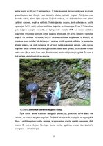 Prakses atskaite 'Zemes zinātņu kursa prakses atskaite', 19.