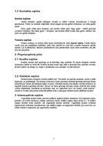 Referāts 'Sajūtu veidi', 5.