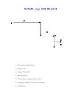 Referāts 'Projekts "Praulienas skola senatnē un tagadnē"', 3.