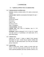 Biznesa plāns 'Mūzikas klubs SIA "Universal"', 1.