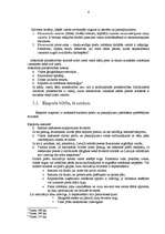 Referāts 'Eksports un imports Latvijā', 4.