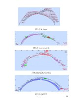 Referāts 'Līmēto koka konstrukciju karkasa ēka', 19.