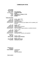 Paraugs 'Curriculum Vitae', 1.