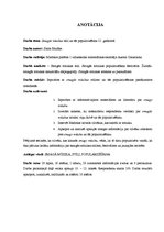 Referāts 'Smagās mūzikas stili un tās popularizēšana 21.gadsimtā', 2.