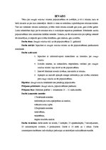 Referāts 'Smagās mūzikas stili un tās popularizēšana 21.gadsimtā', 5.