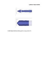 Referāts 'Smagās mūzikas stili un tās popularizēšana 21.gadsimtā', 42.