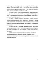 Referāts 'SIA "Citrus Solutions" finanšu analīze', 25.