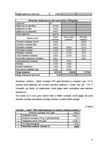 Referāts 'Viesnīcas finanšu rādītāju analīze', 9.