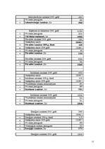 Referāts 'Viesnīcas finanšu rādītāju analīze', 13.