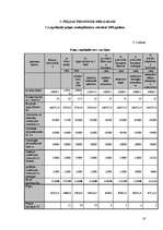 Referāts 'Viesnīcas finanšu rādītāju analīze', 16.