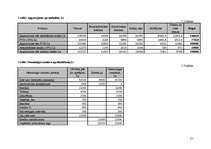 Referāts 'Viesnīcas finanšu rādītāju analīze', 21.