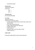 Prakses atskaite 'Slimības vēsture bērnu ķirurģijā', 5.