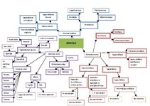 Paraugs 'Domu karte psiholoģijā. Atmiņa', 1.