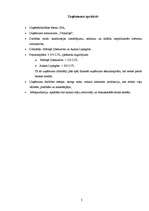 Biznesa plāns 'SIA "Veikaliņš"', 3.