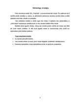 Biznesa plāns 'SIA "Veikaliņš"', 6.