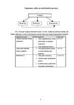 Biznesa plāns 'SIA "Veikaliņš"', 8.