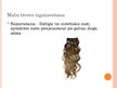 Prezentācija 'Liekie matu izstrādājumi', 8.