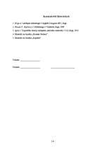 Referāts 'Tirgvedības komunikācijas analīze SIA "X"', 14.