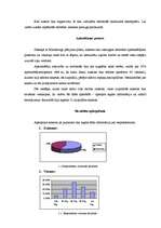 Referāts 'Restorāns “Planeta Sushi”', 3.