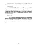 Prakses atskaite 'Industriālā piesārņojuma ietekme uz meža sistēmas komponentiem', 9.