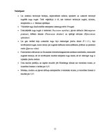 Prakses atskaite 'Industriālā piesārņojuma ietekme uz meža sistēmas komponentiem', 12.