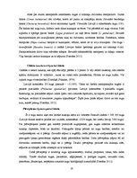 Prakses atskaite 'Industriālā piesārņojuma ietekme uz meža sistēmas komponentiem', 19.