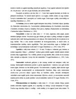 Prakses atskaite 'Industriālā piesārņojuma ietekme uz meža sistēmas komponentiem', 40.