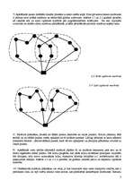 Referāts 'Maršruta plānošana autopārvadājumos', 5.