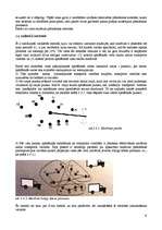 Referāts 'Maršruta plānošana autopārvadājumos', 9.
