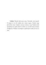 Referāts 'Itālija', 13.