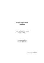 Referāts 'Itālija', 19.