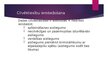 Prezentācija 'Starptautiskie cilvēktiesību aizsardzības mehānismi', 6.