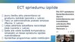 Prezentācija 'Starptautiskie cilvēktiesību aizsardzības mehānismi', 32.