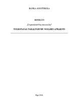 Referāts 'Tulkošanas pakalpojumu nozares apraksts', 1.