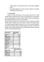 Referāts 'Reklāma žurnālos un televīzijā. Patērētāju attieksme', 17.