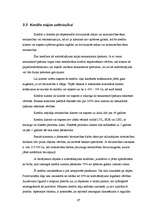 Referāts 'Hipotekārie kredīti un to pielietojuma iespējas', 17.