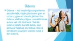Prezentācija 'Veselīgs dzīvesveids', 8.