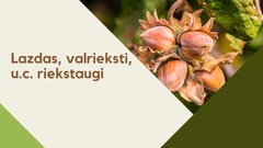 Prezentācija 'Lazdas, valrieksti, u.c. riekstaugi', 1.