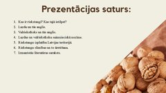 Prezentācija 'Lazdas, valrieksti, u.c. riekstaugi', 2.