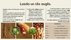 Prezentācija 'Lazdas, valrieksti, u.c. riekstaugi', 4.