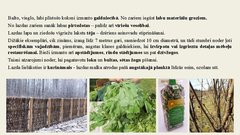Prezentācija 'Lazdas, valrieksti, u.c. riekstaugi', 7.