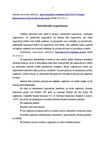 Konspekts 'Radošās domāšanas paņēmieni un avoti', 5.