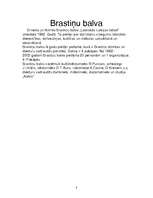 Referāts 'Ernests Brastiņš - Dievturu dižvadonis', 9.