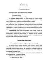 Referāts 'Pusaudžu priekšstats par agresiju', 13.