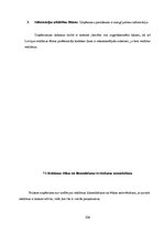 Prakses atskaite 'Reklāmas komercdarbības prakses darbs', 104.
