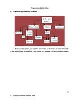 Biznesa plāns 'Jauna ēdināšanas uzņēmuma koncepcijas izstrāde', 30.