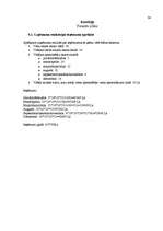 Biznesa plāns 'Jauna ēdināšanas uzņēmuma koncepcijas izstrāde', 36.