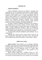 Referāts 'Sintētiskie zīdi', 2.